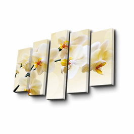 Wallity 5PUC-140 Cuadro Decorativo en Lienzo de 5 Piezas Multicolor